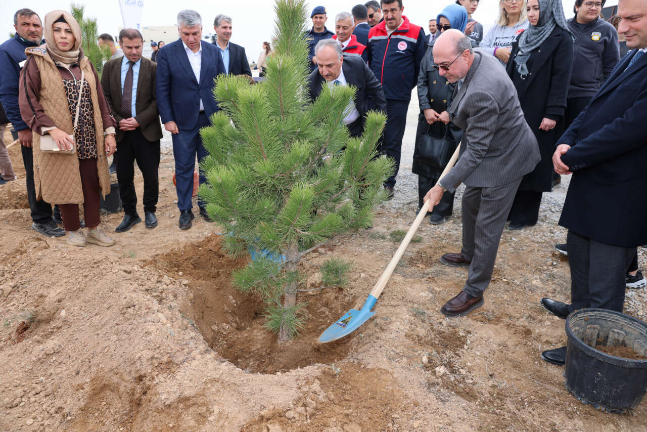 Konya’da karbon yutak alanı oluşturuldu 4